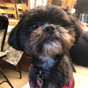 Meet your Posher, Christina